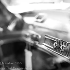 DSC_5594-2