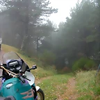 DSCN5979