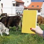 libreta-1