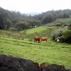 DSCN8345