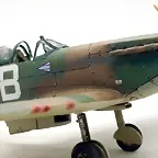 SDC39368
