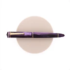 delta-write-balance-penna-stilografica-viola-oro