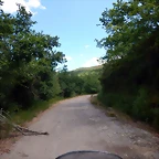 DSCN7685