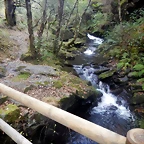 DSCN7966