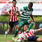 chivas