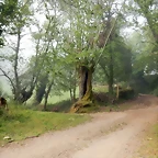 DSCN4708