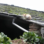 DSCN1148