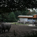 Zoos Duisburg y Krefeld 02-10-09 124