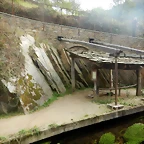 DSCN3491