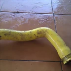 IMAG0597