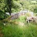 DSCN4347