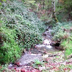 DSCN6281