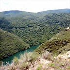 DSCN7861