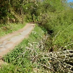 DSCN0068
