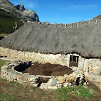 DSCN6374