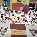 _TEF8867