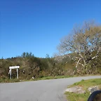 DSCN9031