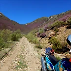 DSCN9365