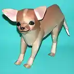 Chihuahua (Cabeza de manzana) Papercraft