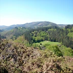 DSCN4430