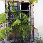 ventana del cortijo