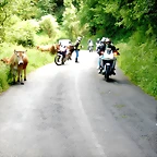DSCN6767