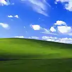 windows XP