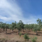 P1070255