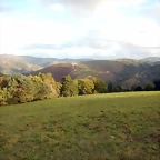 DSCN8474