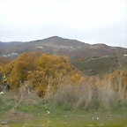 DSCN9507
