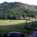 DSCN2137