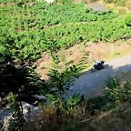 19-IMG_7844