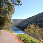 DSCN5184