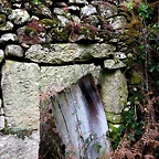 24-IMG_5475