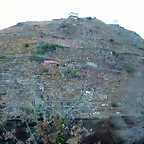 DSCN6469