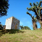DSCN6637