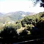 DSCN6980