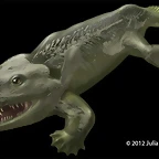 tetrapodo