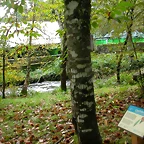DSCN5800