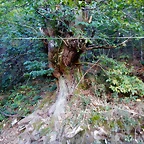 DSCN9171