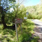 DSCN1019