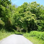 DSCN2166
