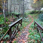 DSCN1274