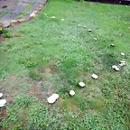 DSCN1210