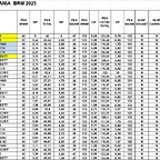 FULL VERIFICACIONS SLOTMANIA FEB 25 BRM HANDICAPS del 1 al 31