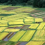Farm_2011