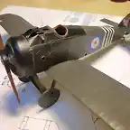 agaponis y sopwith 044