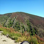 DSCN0105