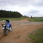 IMGP6138