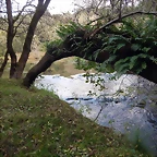 DSCN3746